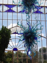 Chihuly chandelier